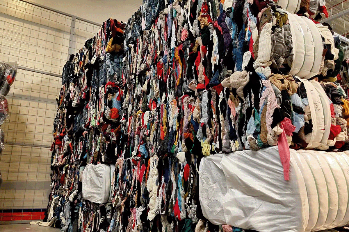 Colectarea obligatorie